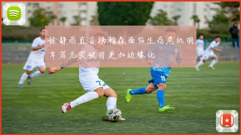 徐静雨直言杨瀚森面临生存危机明年若无突破将更加边缘化