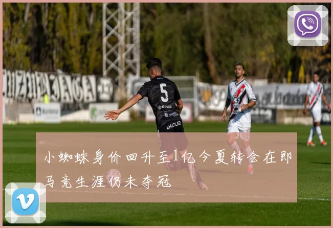 小蜘蛛身价回升至1亿今夏转会在即马竞生涯仍未夺冠
